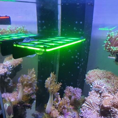 Sps Fluorescence bracket Coral limb frame High appearance level button coral acrylic Coral support with locking function