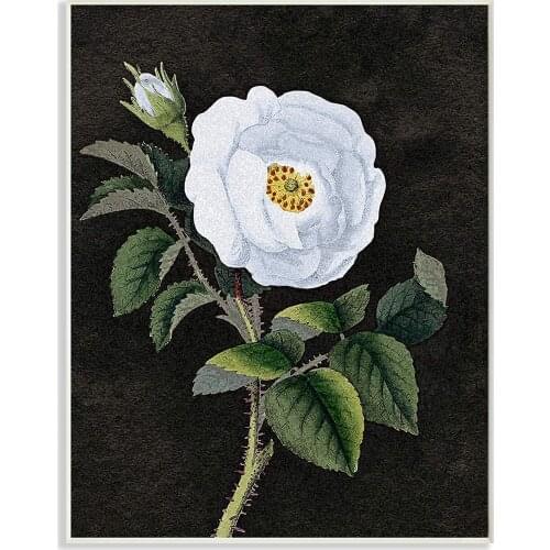 Red Poppy Florals Soft Green Meadow Grass, Design By Carol Rowan Wall Plaque