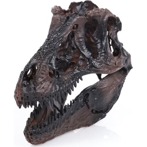 High Simulation Tyrannosaurus Rex Dinosaur Skull Handicrafts Resin Fossil Simulation Dinosaur Skull Model for Collectibles