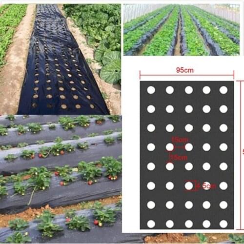 5Holes 95cm*50m 0.02mm Black Garden Vegetable Membrane Agricultural Plants Mulching Seeding Plastic Perforated PE Film