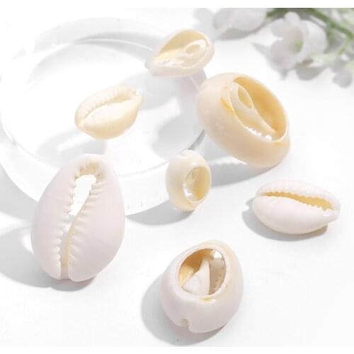 10pcs Natural Sea Shell Loose Beads DIY Craft Beach Conch Shell Pendant Jewelry Accessories Cowry Cowrie Home Decoration Crafts