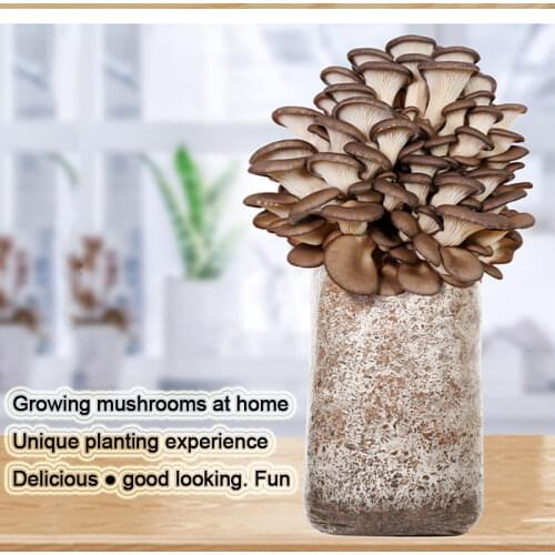 Меламиновые губки Myfriday China At AliExpress