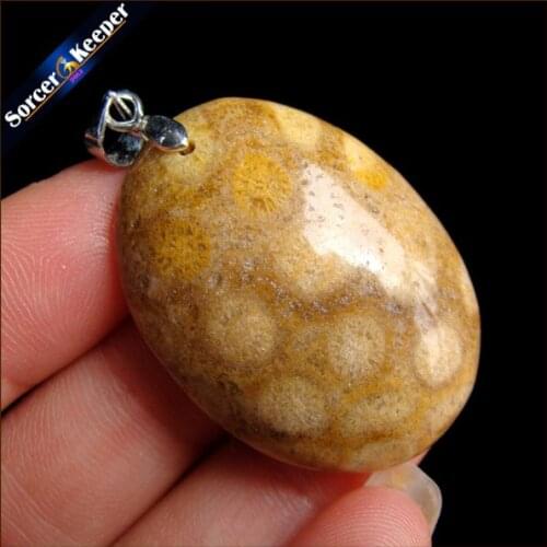 New Hot Selling Natural Stone Crinoid Fossil Necklace Jewelry Chrysanthemum Stone Healing Reiki Pendant For Men Women HS355