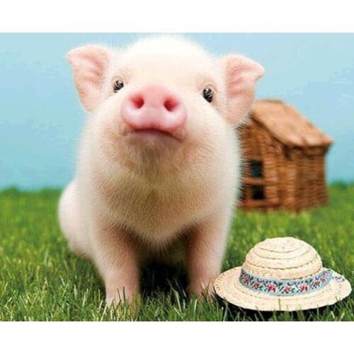 FUYUN 5D Diamond Painting full Set animal pig&grass Round Rhinestone Picture Embroidery Sale Diamond Mosaic Home Decor Drop Ship