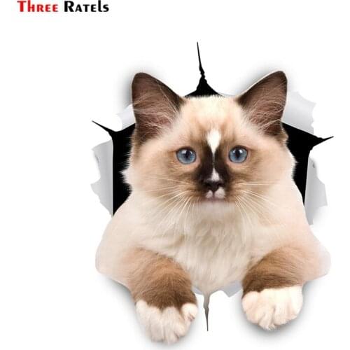 Three Ratels FTC-1102 3D Brown&White Ragdoll Cat Sticker for Car Sticker Kitchen Cabinet Toilet Refrigerator Wall Laptop Decal