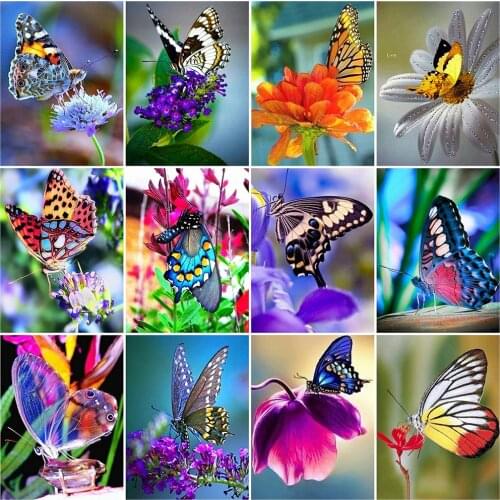 Evershine 5D DIY Diamond Painting Butterfly Picture Of Rhinestones Mosaic Diamond Embroidery Cross Stitch Animals Home Decor