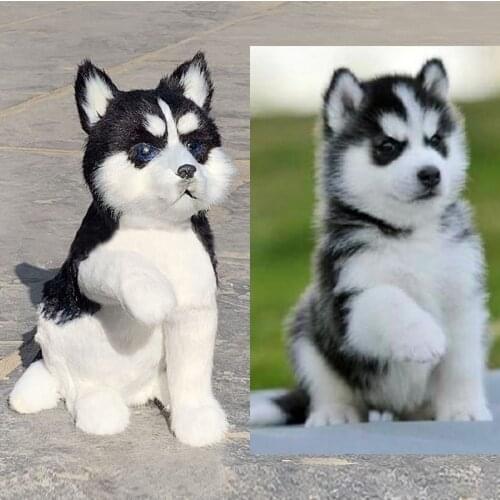 1pc Simulation Husky Toy Animal Model Cute Husky Realistic Plush Toy Child Gift Home Decor Ornaments Crafts Photo Props