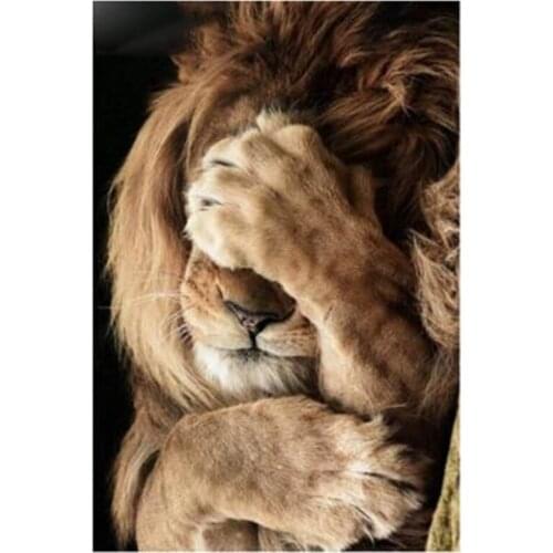 5D DIY Diamond Painting Lion Crystal Diamond Painting Cross Stitch Shy Lion Animal Sleep Needlework Home Decorative