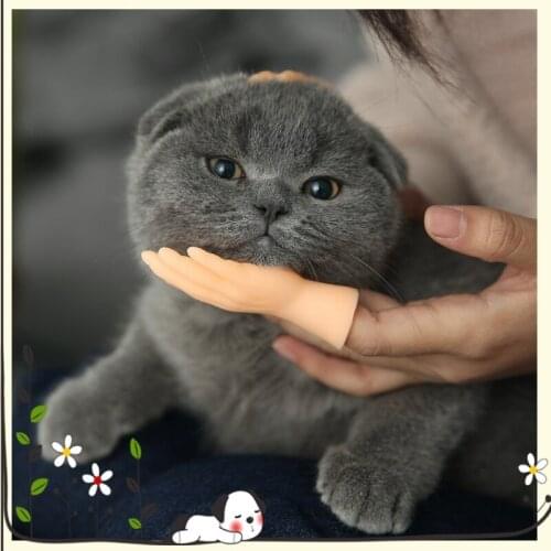 Kitten Funny Small Hand Finger Pet Teaser Cat Toy Stick Cat Toys Gloves Human Interactive Finger Pet Toys