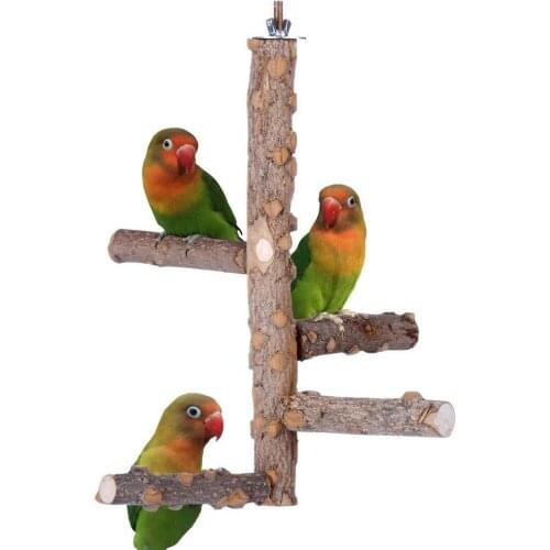 Natural Wood Bird Perch Stand Toy Parrot Perch Branch for 3-4pcs Small Medium Birds