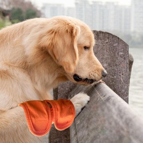 Brace Straps Protection Dog Wrap Recovery Supplies Dogs Surgery Leg Brace Straps Pets Fixed Brace Bandages Accessories