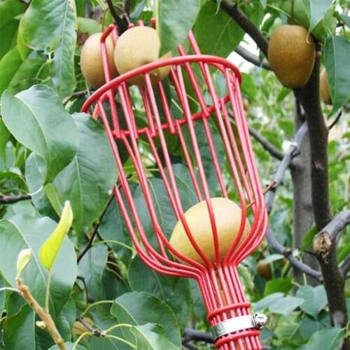 Outdoor Aluminum Deep Basket Garden Tools Fruit Picker Head Metal Fruit Picking Tools Fruits Catcher Harvest Picking