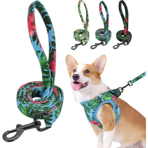 150cm Nylon Dog Leash Flower Print Dogs Cat Lead Rope Pet Belt Leashes for Dogs Walking Training French Bulldog Pug Light Weight