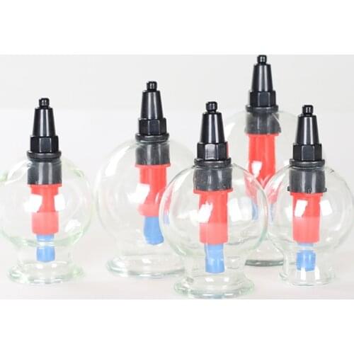 5pieces/box plastic vacuum therapy cupping set Suction Cups Chinese Traditional Cupping jar Acupunture Vacuum Cupping Set
