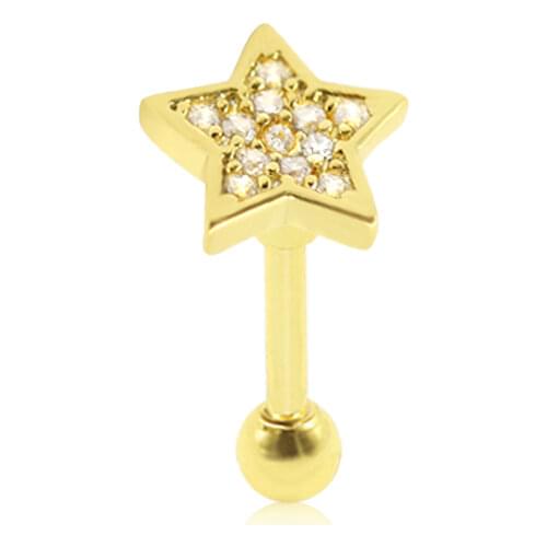 Arvin Women's Gold Earrings