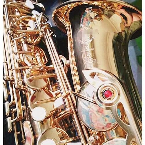 New SAS-802 Brand instrument Alto Saxophone EF Golden alto sax Complete accessories Mouthpiece and case