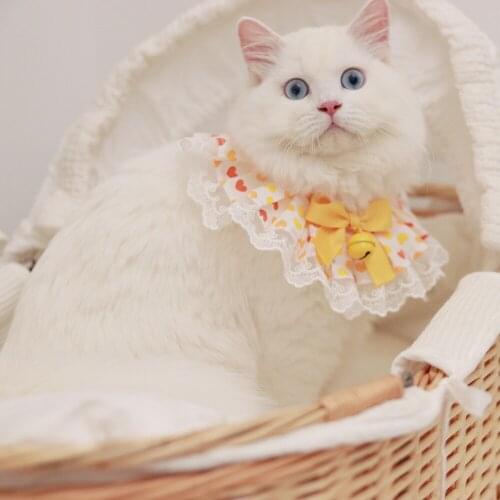 Hippypaw 