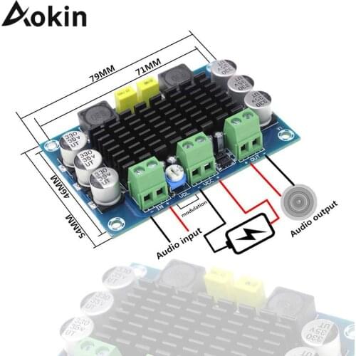 TPA3116 D2 100W Mono channel High Power Digital Audio Music Amplifier Board Stereo Amplifier Speaker Board TPA3116D2 XH-M543