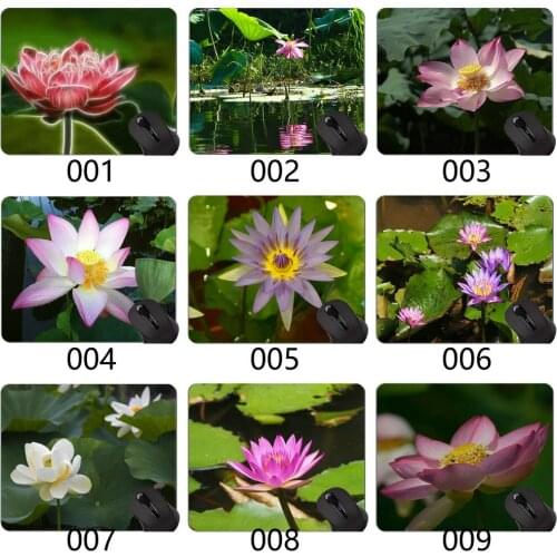 Indian Lotus Flower Leaves Custom Original Leopard Series Mouse Pad