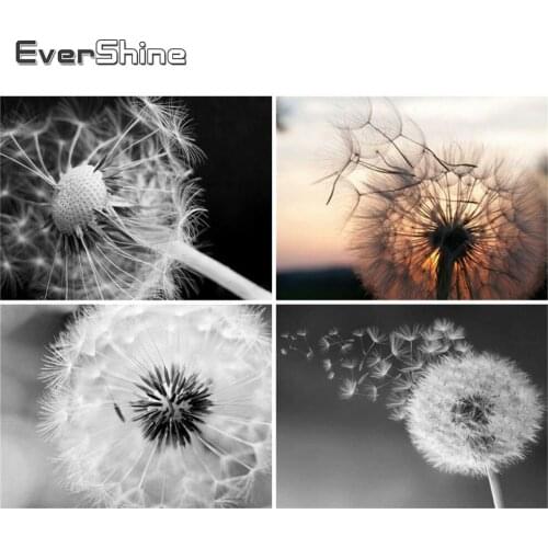 EverShine 5D DIY Diamond Mosaic Full Square Drill Dandelion Rhinestones Art Diamond Painting Landscape Cross Stitch Home Decor