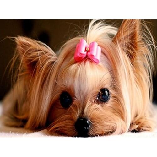 5D DIY Diamond Painting Animal Dog Mosaic Cross Stitch Full Round Drill Diamond Embroidery Sticker Decor Paintings Handcrafts