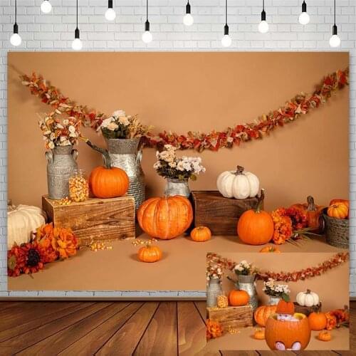 Autumn Pumpkins Backdrop Fall Silver Vase Harvest Sunflower Newborn Baby Photography Background Photophone Photozone Decor Props