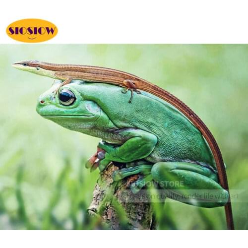 SIOSIOW Diamond Painting Full Drill Square Frog Beads Embroidery Kits Cross Stitch Diamond Art Handwork Hobby Children Boy Gifts