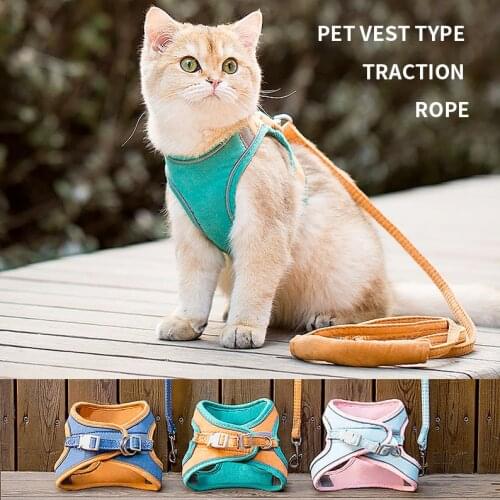 Fieeunica Collars, Harnesses And Leashes