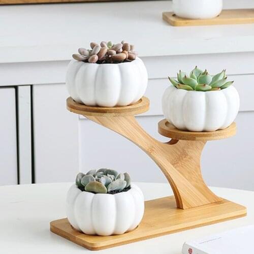 Simple White Succulent Plant Flower Pot Holder Ceramic Owl Pumpkin Pattern Pot Treetop Shaped Bamboo Shelf Pot Planter Set