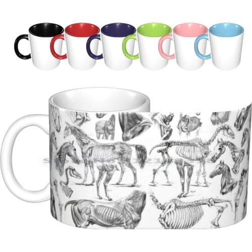 Horse Anatomy ( Black On White ) Ceramic Mugs Coffee Cups Milk Tea Mug Horse Equestrian Anatomy Animal Horse Lover Gothic