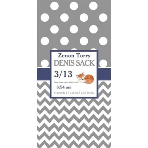 Cute Baby Shower Personalised Gift Gray Navy Custom Fox Nursery Shower Bath Bathroom Towels for Kid Microfiber Baby Announcement