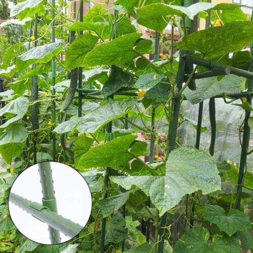 50/100 PCS Plastic Cross Plant Support Fix Clips Gardening Fixed Clamp Adjustable Connector Agriculture Fastener Pillars