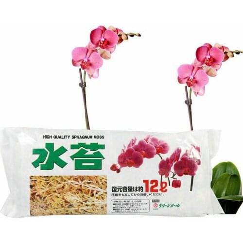 Garden Supplies 12L Sphagnum Moss Sphagnum Moisturizing Nutrition Organic Fertilizer For Orchid Phalaenopsis Flower
