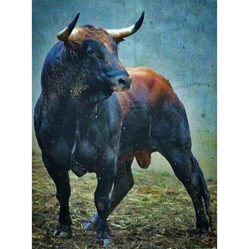 5D DIY Diamond Painting Animal Toro Full Square/round Resin Diamond Embroidery Cross Stitch Rhinestone Picture