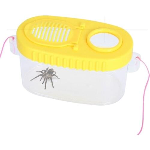 Student children kindergarten outdoor education exploration two-way insect box observer magnifying glass
