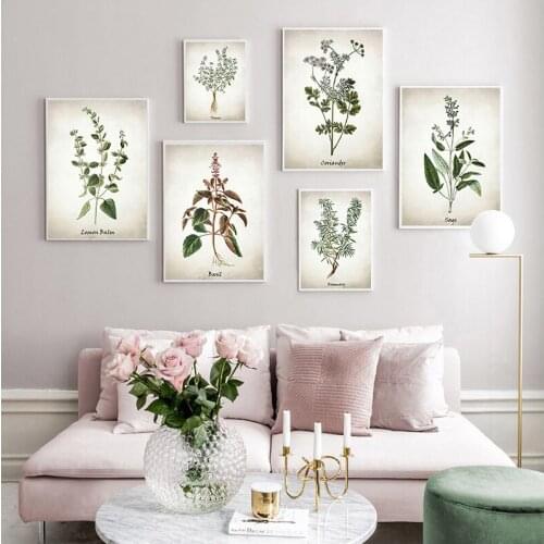 Herb Canvas Art Painting Vintage Herbal Illustrations Posters and Prints Culinary Herbs Botanical Kitchen Wall Art Picture Decor