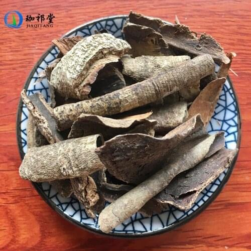 Ovateleaf Holly Bark Ilex Rotunda Thunb. Jiu Bi Ying