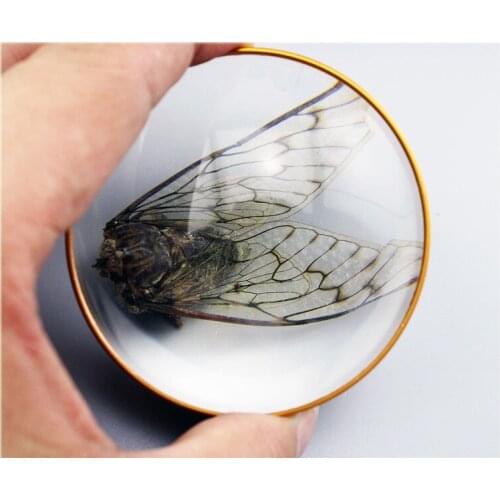 6X Spherical Magnifier Desktop Paper Map Magnifying Glasses Read Optical Glass Lens Handheld Reading Glass 6 Times Magnification