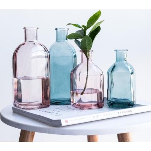 Glass Vase Home Small Hydroponic Plant Glass Bottle Living Room Decoration Dried Flower Decoration Multicolor Mini Flower Vases