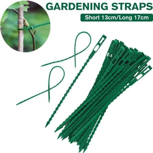 50/100Pcs Reusable Garden Cable Ties Plant Support Shrubs Fastener Tree Locking Nylon Adjustable Plastic Cable Ties Tools
