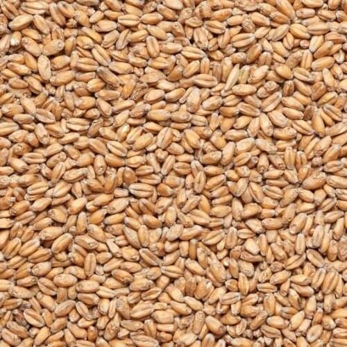 Оборудование для пивоварения Курский солод China At AliExpress