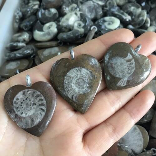 1pcs beautiful natural ammonite fossil stone handmade heart pendant reiki healing crystals minerals rock pendant wholesale price
