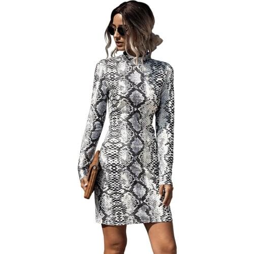 Women Leopard Snake Print Long Sleeve Dress Half Turtleneck Casual Slim Bodycon Sexy Hips Mini Dress Autumn Winter Streetwear