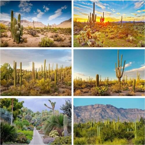 Laeacco Cactus Desert Shrub Hillside Blue Sky Cloudy Natural View Photo Backgrounds Photography Backdrops For Photo Studio