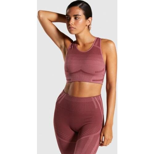 2Pcs Seamless Sports Bra Yoga Sets Women Long Sleeve Crop Top Fitness Legging Pant Workout Gym Clothing Outfit Tracksuit