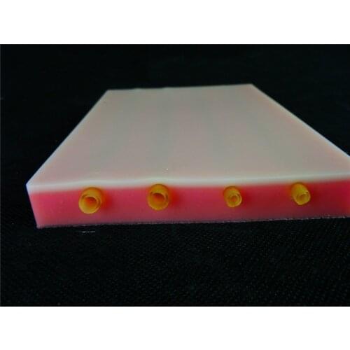 Pure Skin Silica Gel Venipuncture Module Intravenous Injection Model Injection Training Skin Medical Teaching Medical Practice