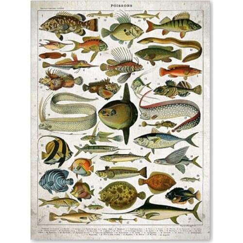 Retro Fish Specimen Illustration 5D Diy Diamond Painting Complete Square Diamond Embroidery Cross Stitch Kits MosaicZP-4499