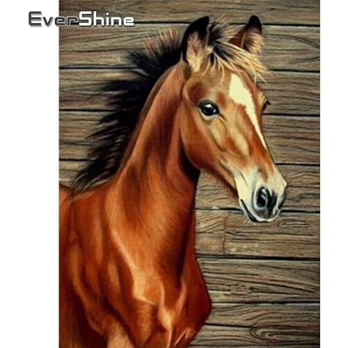 Evershine Diamond Painting Cross Stitch Animals Horse Diamond Embroidery Full Display Cartoon Pictures Of Rhinestones Crystal