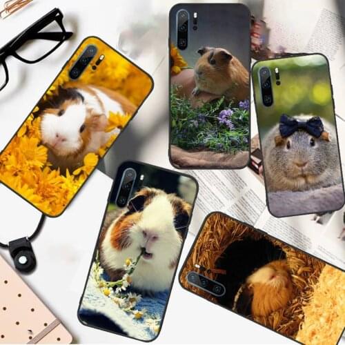 Guinea Pig Phone Case For Huawei P20 P30 P40 lite Pro P Smart 2019 Mate 10 20 Lite Pro Nova 5t