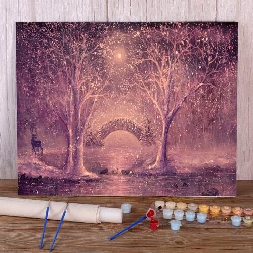 Natural Scenery Winter Magic Painting By Numbers Complete Kit Oil Paints 50*70 Boards By Numbers Home Handicraft